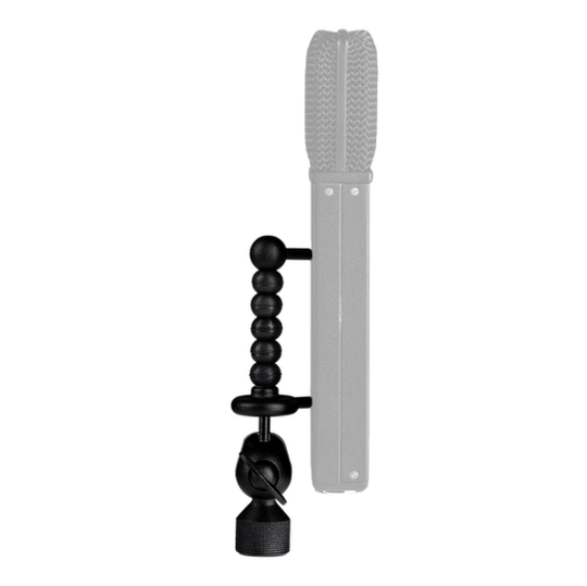 Black Hole Holder